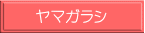 ヤマガラシ