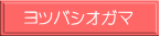 ヨツバシオガマ