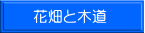 花畑と木道