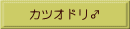 カツオドリ♂