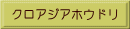 クロアジアホウドリ