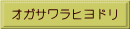 オガサワラヒヨドリ