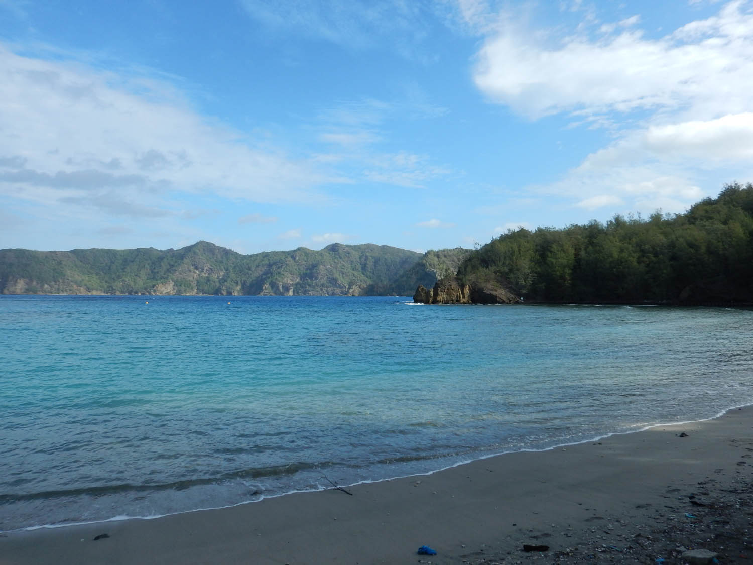 扇浦の海岸