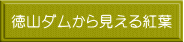 徳山ダムから見える紅葉 