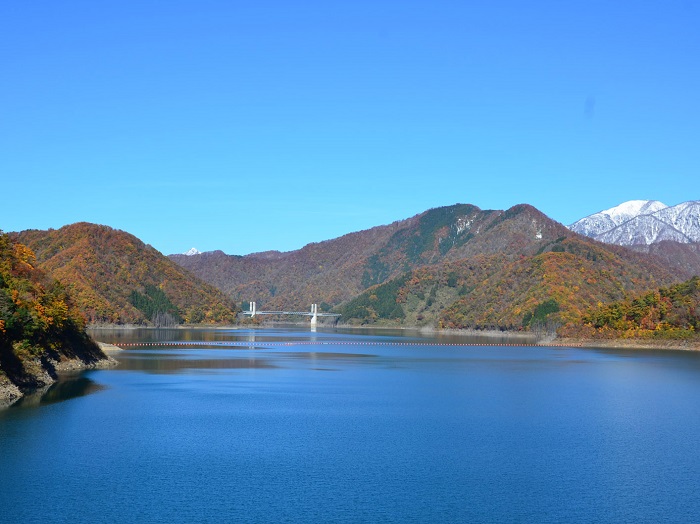 徳山ダムから見える紅葉