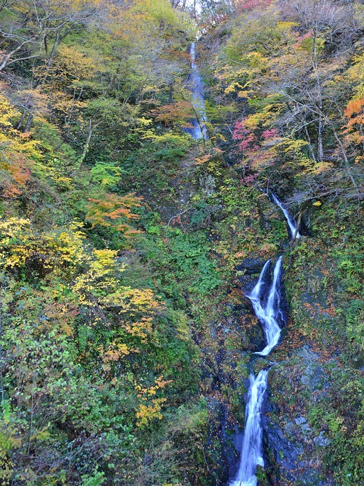 国道沿いの滝