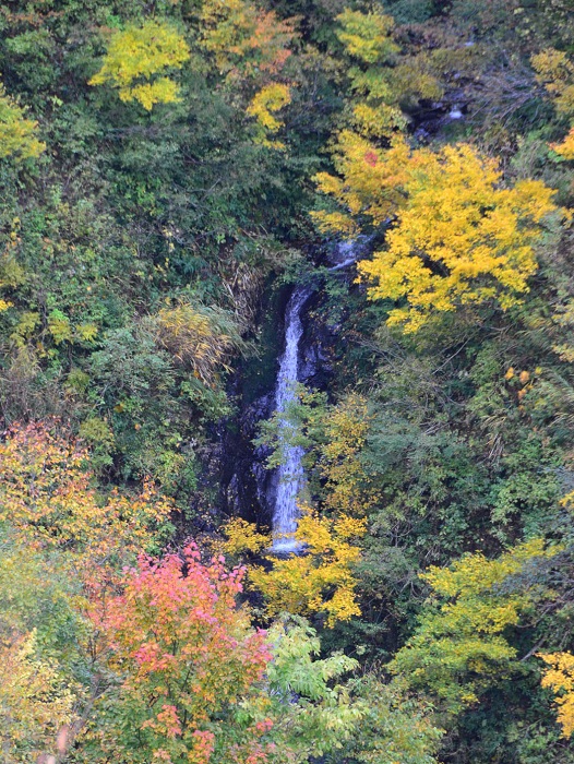 高倉林道の滝