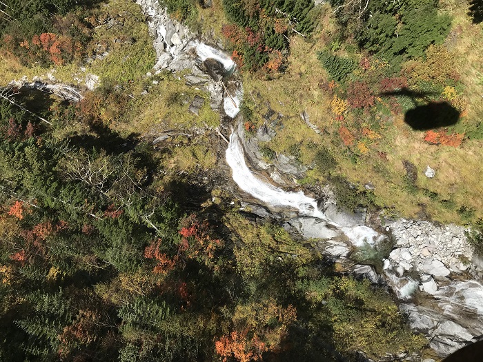 ロープウェイからの紅葉はとても綺麗でした。