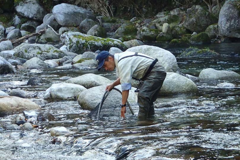 魚類・水生生物捕獲調査